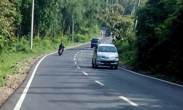 Rawan Kecelakaan, Ujung Rembang-Blora Butuh Pembatas Jalan