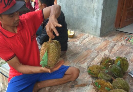 Produktivitas Durian Criwik Menurun Tahun Ini