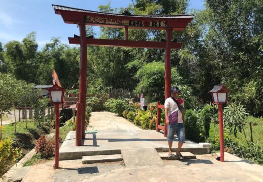 ‘Kampung Iniori’ Konservasi 35 Spesies Bambu Satu-satunya di Jateng