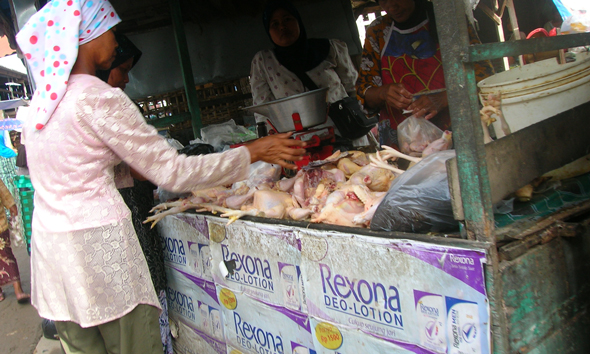 Harga Daging Sapi Turun, Ayam Potong Stabil