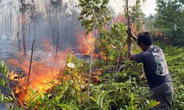 Warga Sriombo Rasakan Kabut Asap Kebakaran Hutan