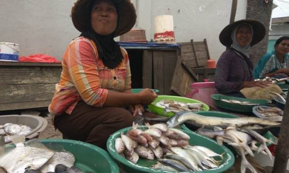 Nelayan Cantrang Mogok, Harga Ikan Melejit