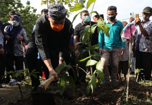 Masuki Musim Penghujan Gubernur Jateng Tanam Pohon di Cilacap
